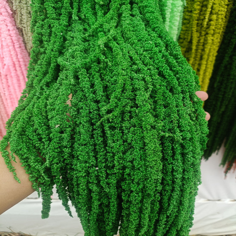 A dried flower eternal flower hanging rice