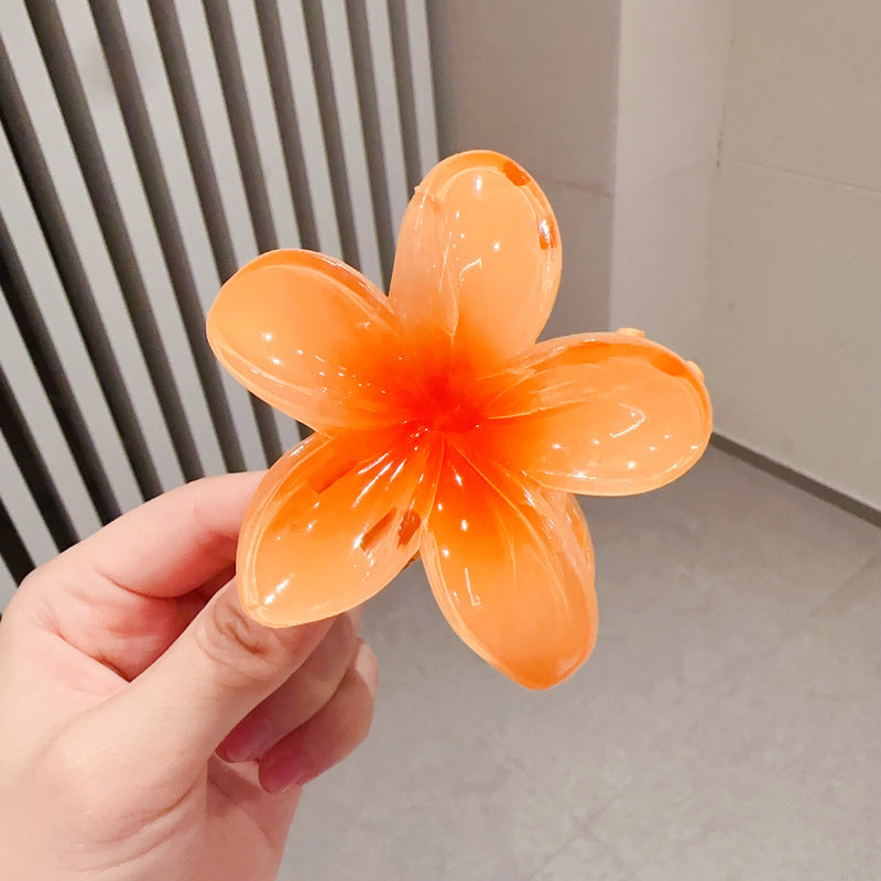 A egg flower hairpin gradual change Bauhinia back head grab clip temperament shark clip