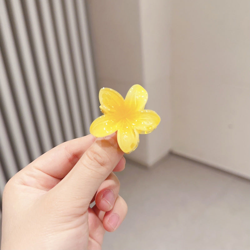 A egg flower hairpin gradual change Bauhinia back head grab clip temperament shark clip