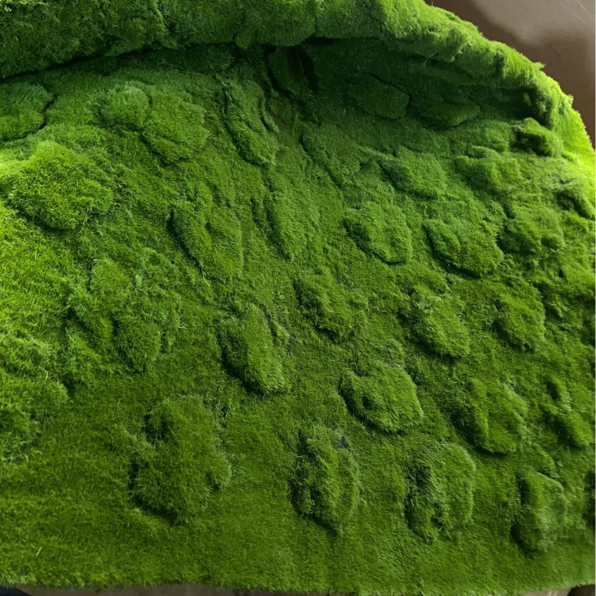 A Plant wall simulation moss green false moss moss micro landscape bonsai landscaping decorative material lawn turf