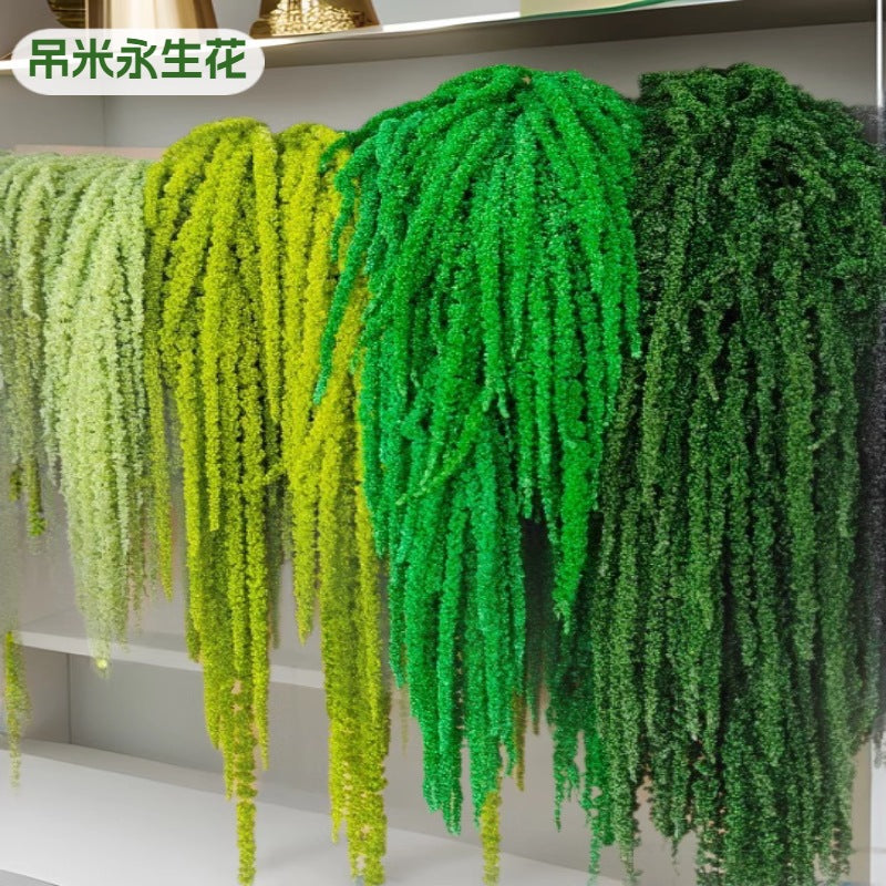 A dried flower eternal flower hanging rice