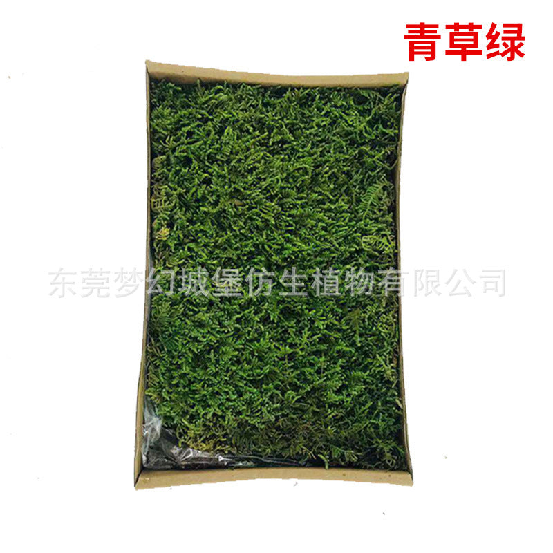 A mossy plant wall landscaping mossy window interior decoration micro landscape immortal flower mossy