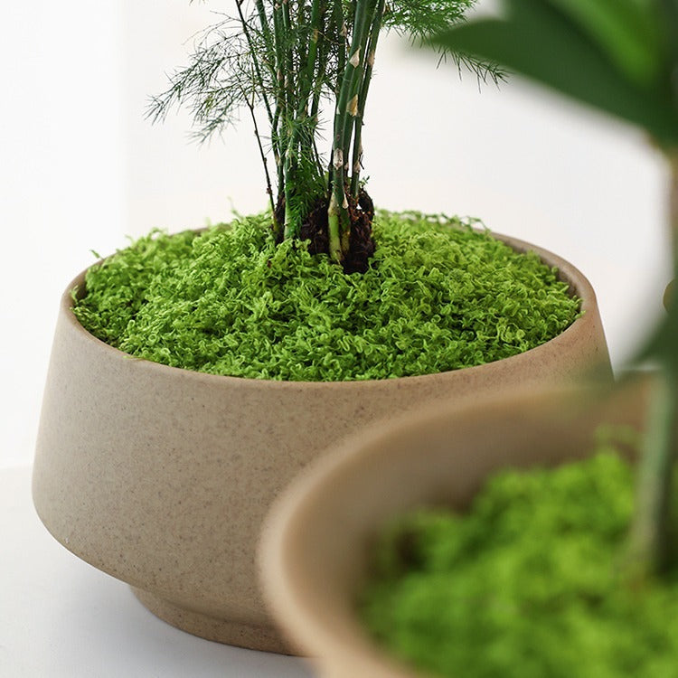 A simulated moss turf bionic artificial fake moss micro-landscape arrangement ornament lawn bonsai potted plant pavement landscaping