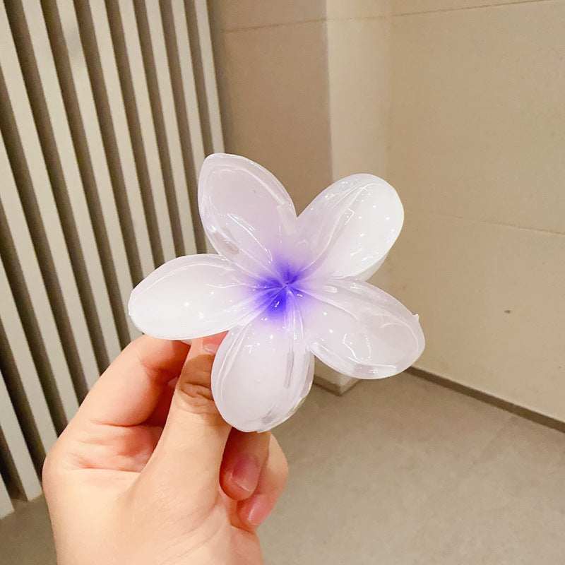 A egg flower hairpin gradual change Bauhinia back head grab clip temperament shark clip