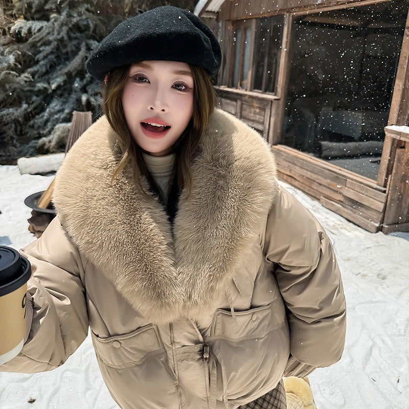 A Winter Warm Jacket