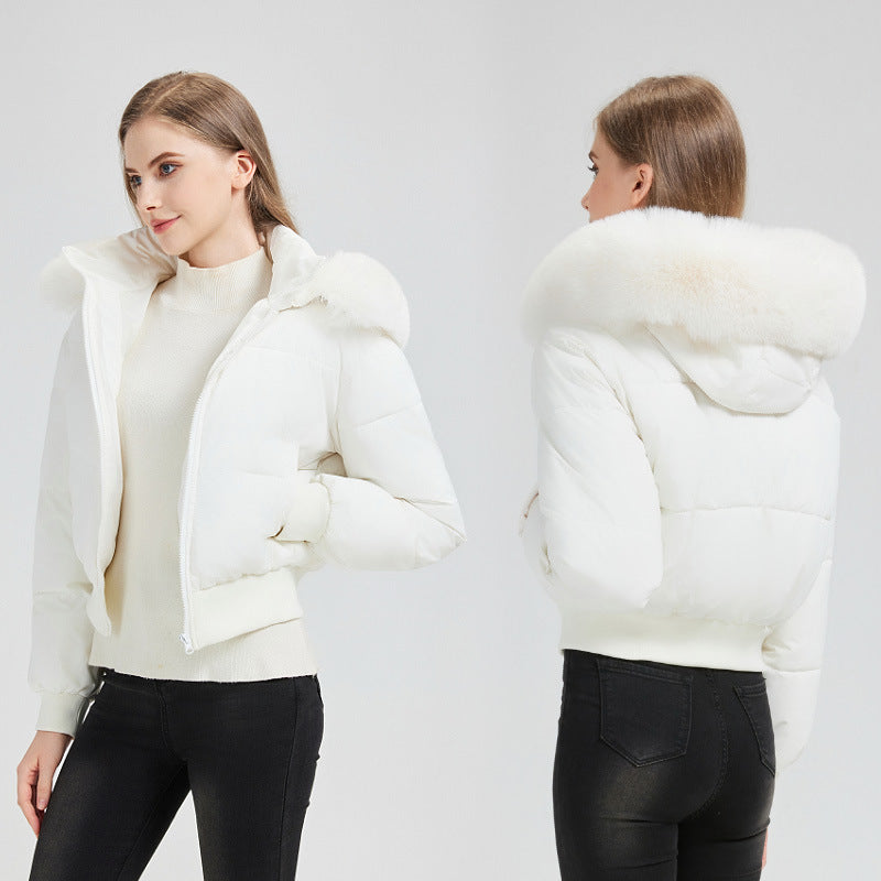 A lady's winter coat