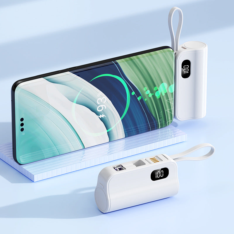 A mini capsule power bank with dual plugs mobile power supply