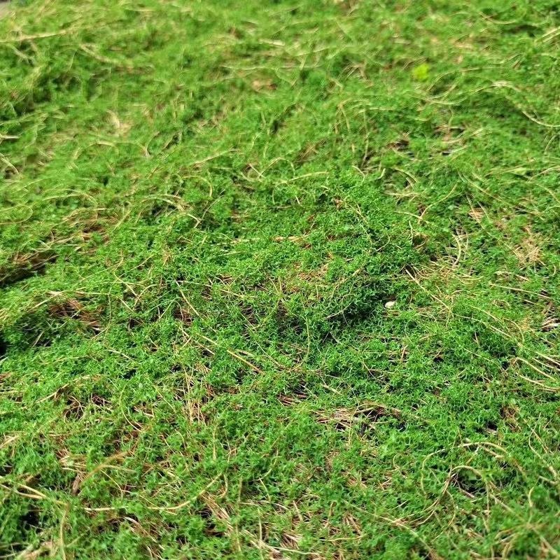 A Plant wall simulation moss green false moss moss micro landscape bonsai landscaping decorative material lawn turf