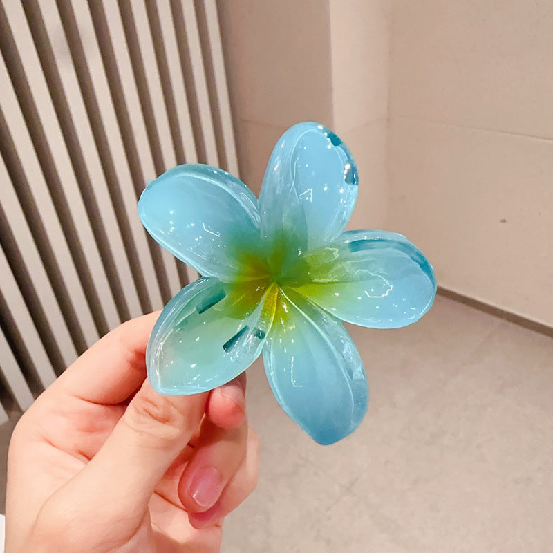 A egg flower hairpin gradual change Bauhinia back head grab clip temperament shark clip