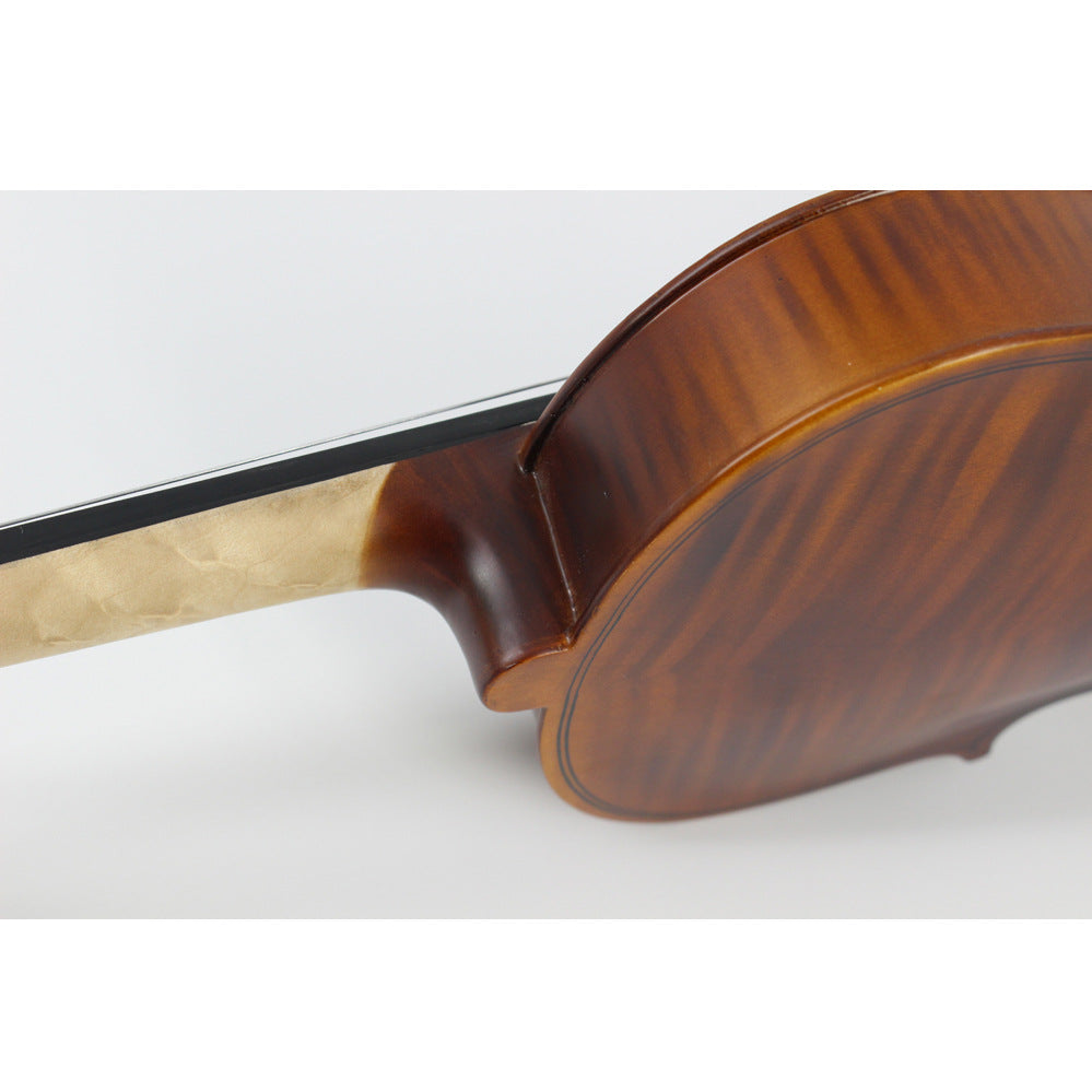 A violin