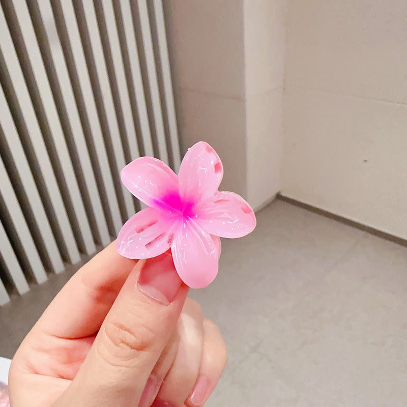 A egg flower hairpin gradual change Bauhinia back head grab clip temperament shark clip