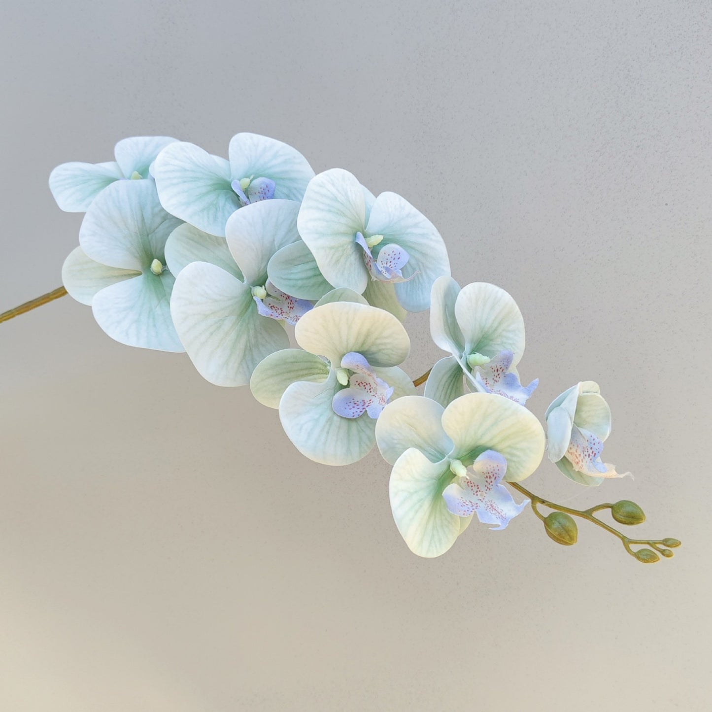 A Mori Monet Garden Simulation Flower Wedding Flower Reed < unk > Grass Fluffy Eucalyptus Green Simulation Flower