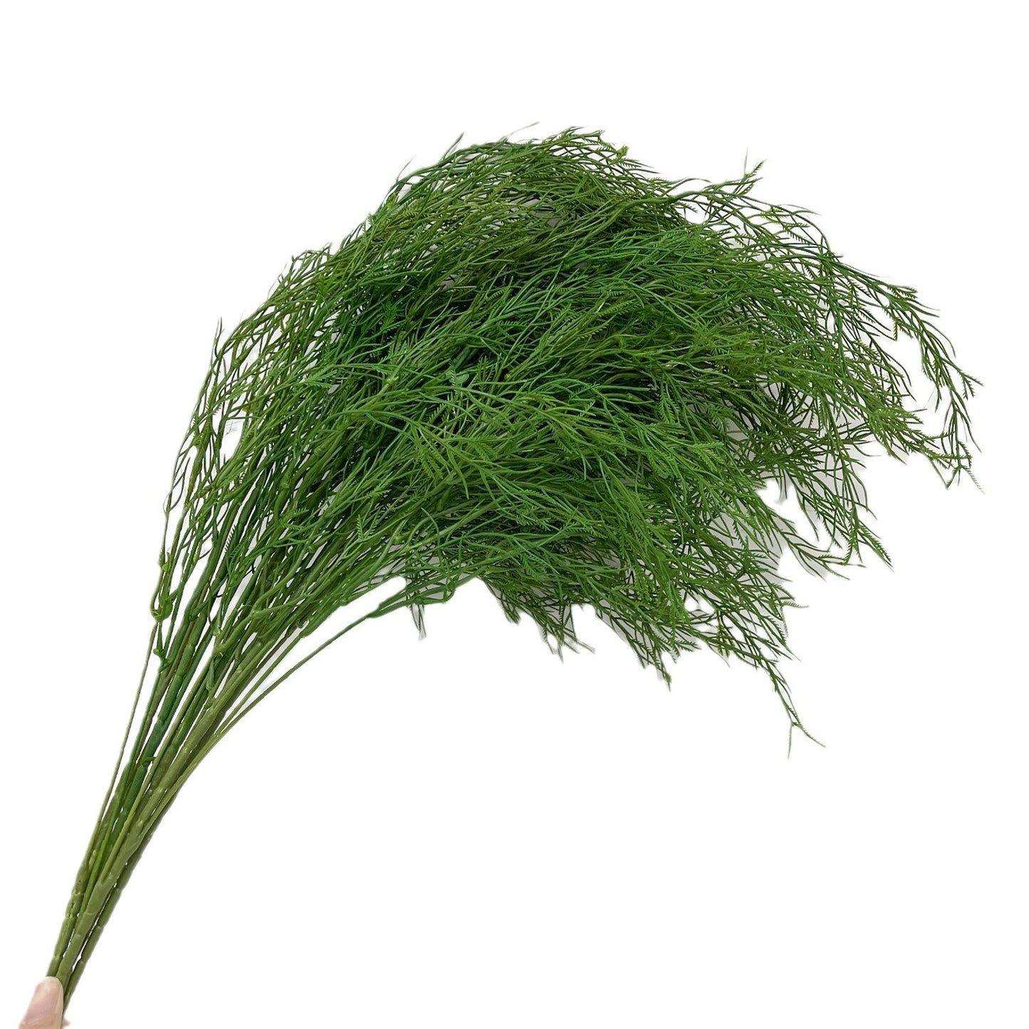 A simulated plastic leaf asparagus decorative leaf material hanging long whiskers white-green whiskers, simulated reed grass