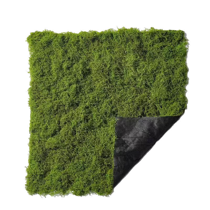 A simulated moss moss gardening plant wall DIY