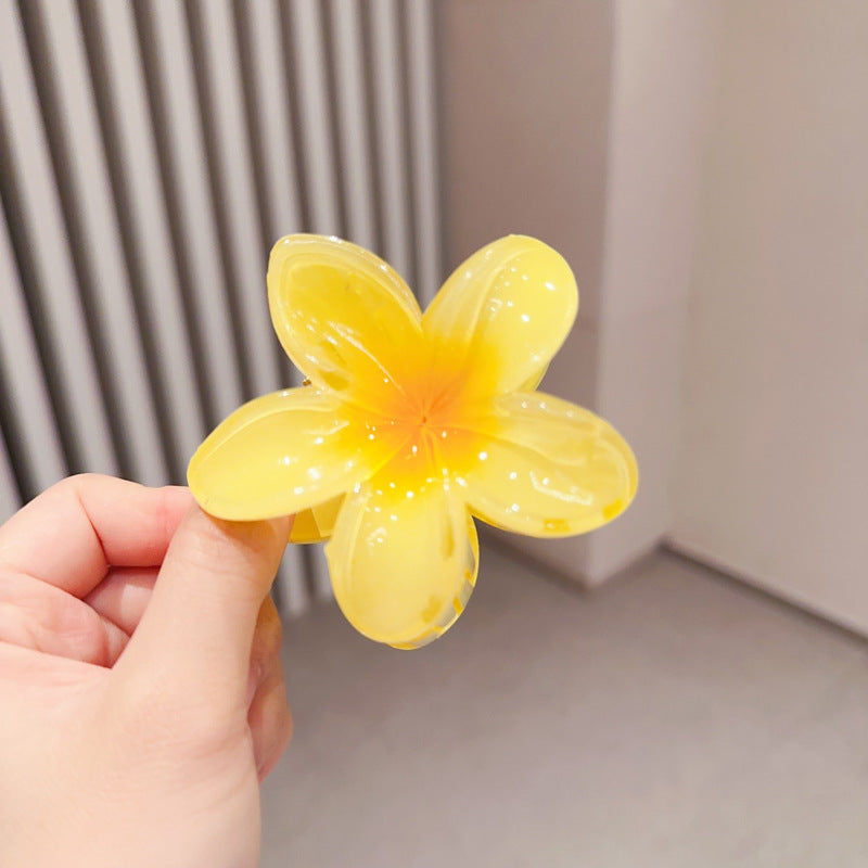 A egg flower hairpin gradual change Bauhinia back head grab clip temperament shark clip