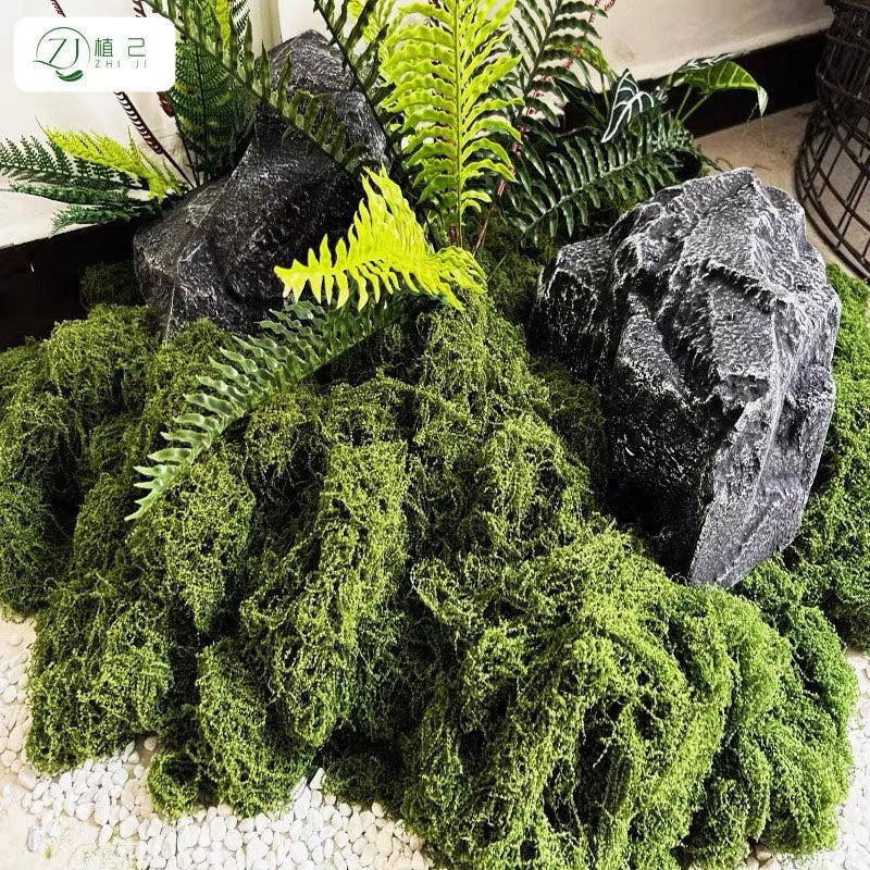 A simulated moss moss gardening plant wall DIY