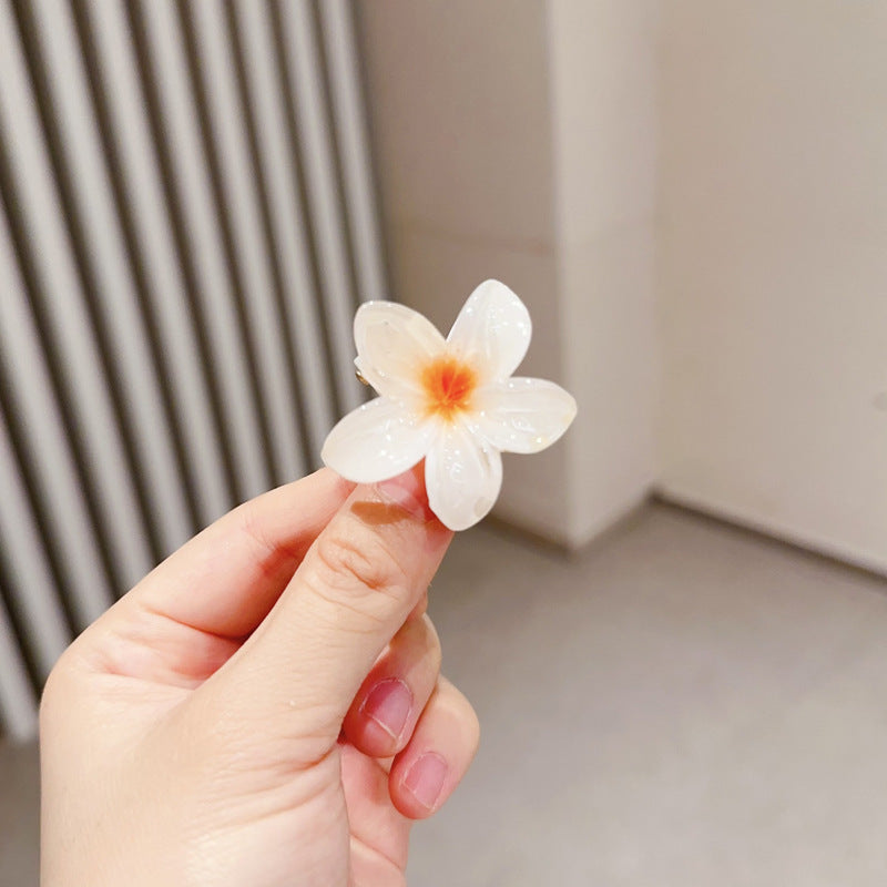 A egg flower hairpin gradual change Bauhinia back head grab clip temperament shark clip