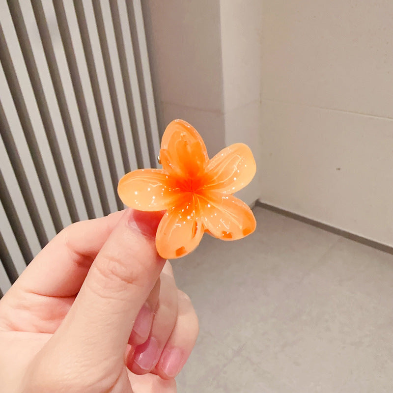 A egg flower hairpin gradual change Bauhinia back head grab clip temperament shark clip