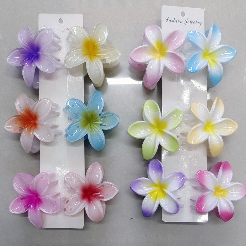 A egg flower hairpin gradual change Bauhinia back head grab clip temperament shark clip