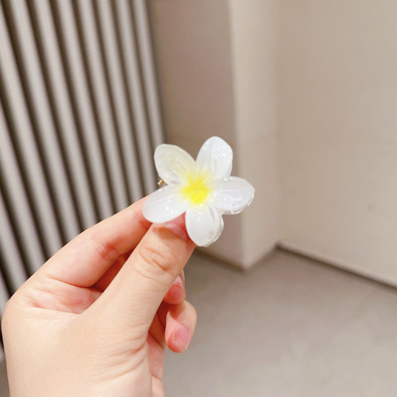 A egg flower hairpin gradual change Bauhinia back head grab clip temperament shark clip