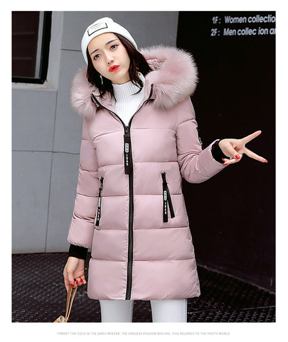 A Winter Warm Jacket