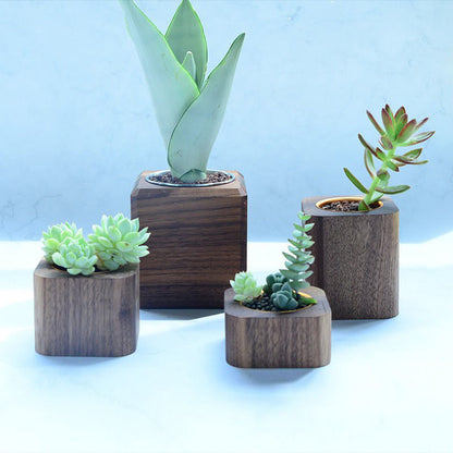P succulent flower pot black walnut solid wood table ornament