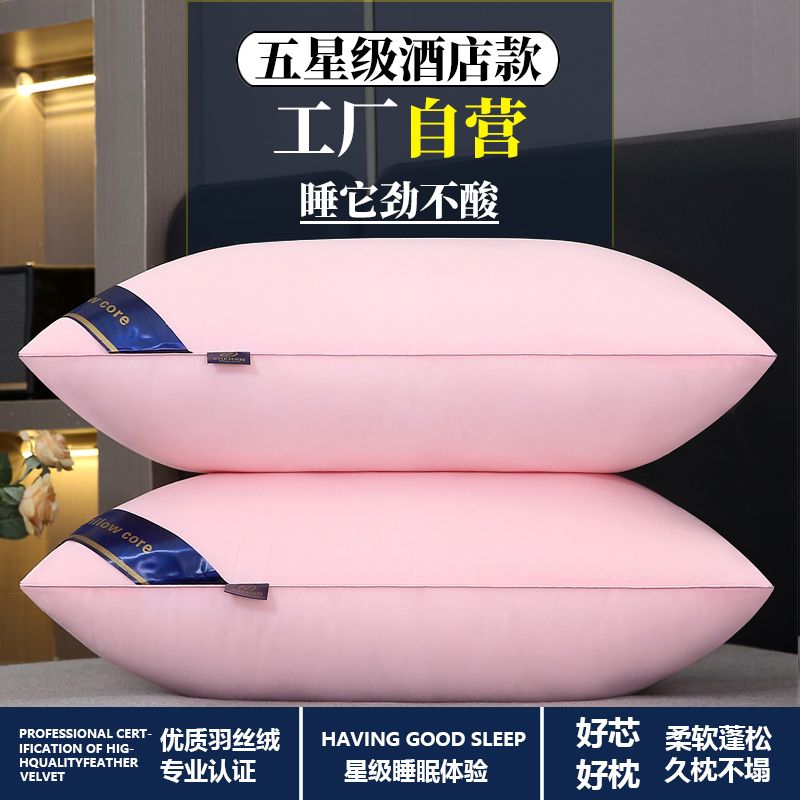 P  Pillow Core Pillowcase