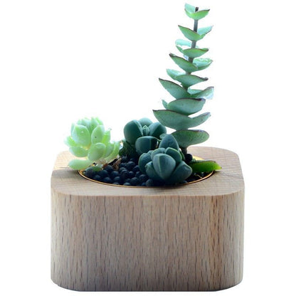 P succulent flower pot black walnut solid wood table ornament