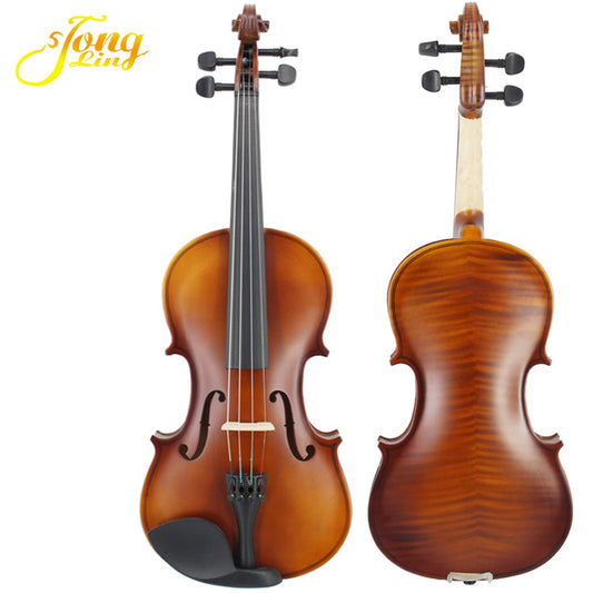 A violin