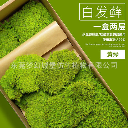 A mossy plant wall landscaping mossy window interior decoration micro landscape immortal flower mossy