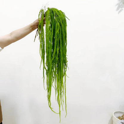 A contains yang, simulated hanging willow whiskers, simulated hanging rice, long branches, rosy lise background flower arrangement, wedding flower material, plant wall hanging