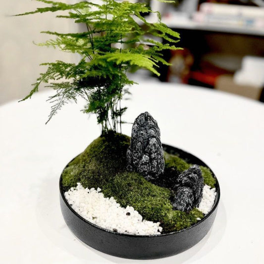 A Plastic flower plate flower arrangement device