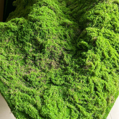 A Plant wall simulation moss green false moss moss micro landscape bonsai landscaping decorative material lawn turf