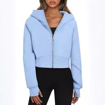 A hooded zip sweater