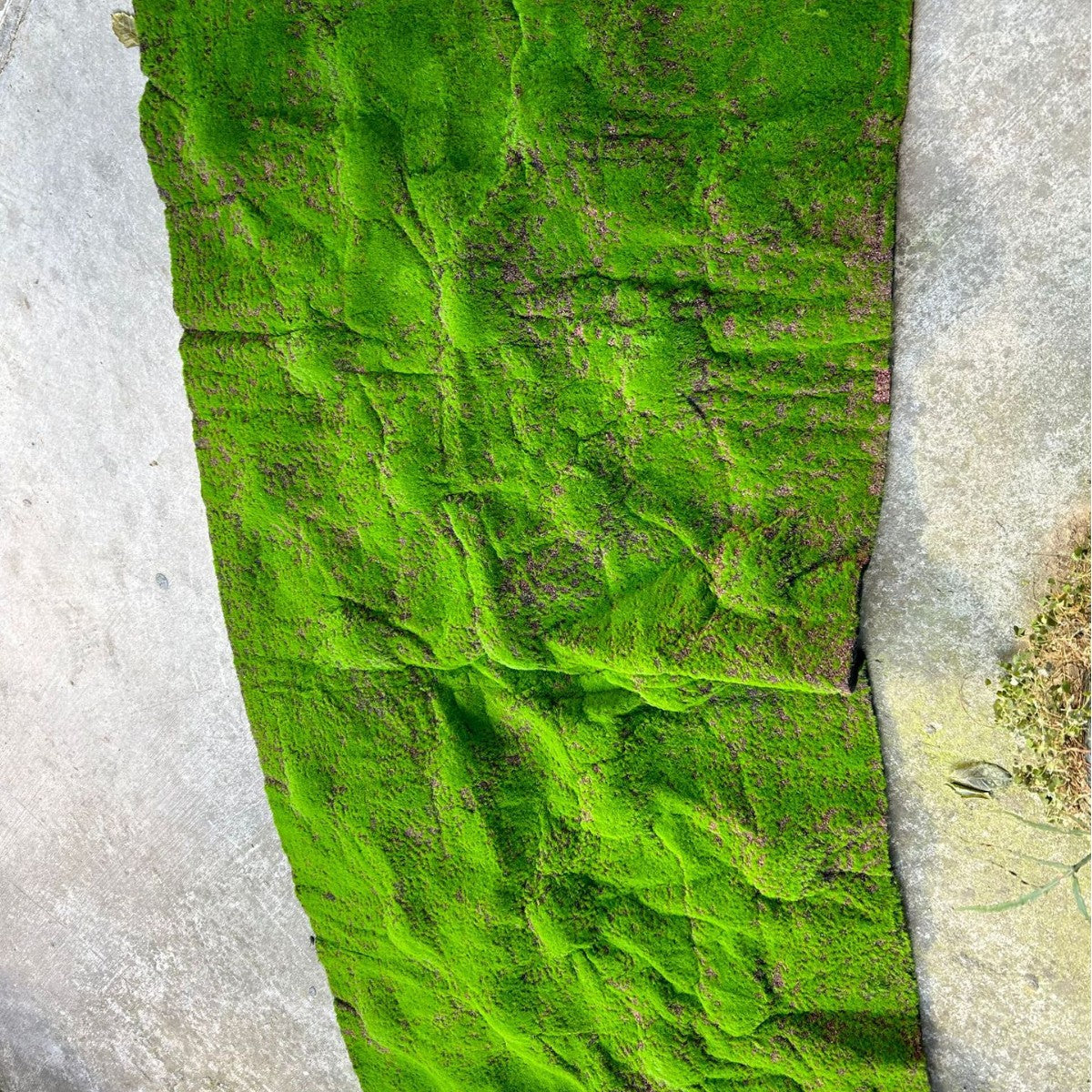 A Plant wall simulation moss green false moss moss micro landscape bonsai landscaping decorative material lawn turf