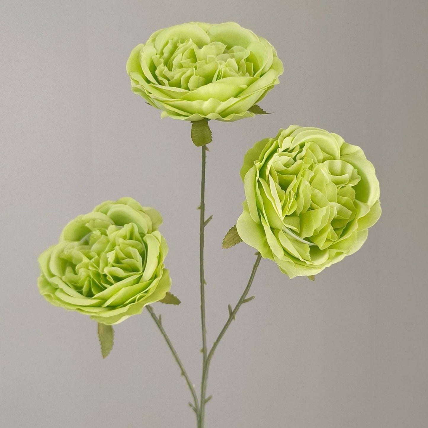 A Mori Monet Garden Simulation Flower Wedding Flower Reed < unk > Grass Fluffy Eucalyptus Green Simulation Flower