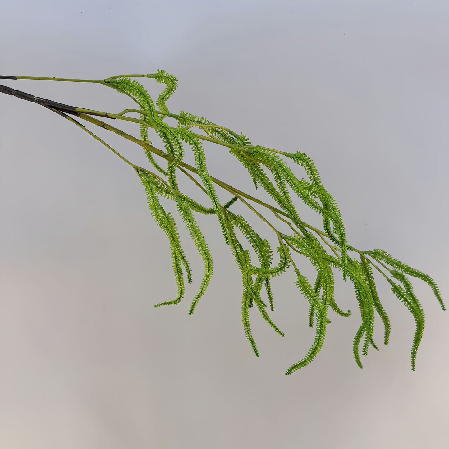A Mori Monet Garden Simulation Flower Wedding Flower Reed < unk > Grass Fluffy Eucalyptus Green Simulation Flower