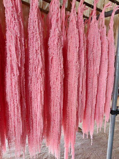 A dried flower eternal flower hanging rice