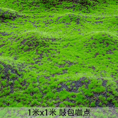 A Plant Wall Simulation Moss False Moss Moss Micro Landscape Bonsai Landscaping Decorative Materials Lawn Turf Wholesale