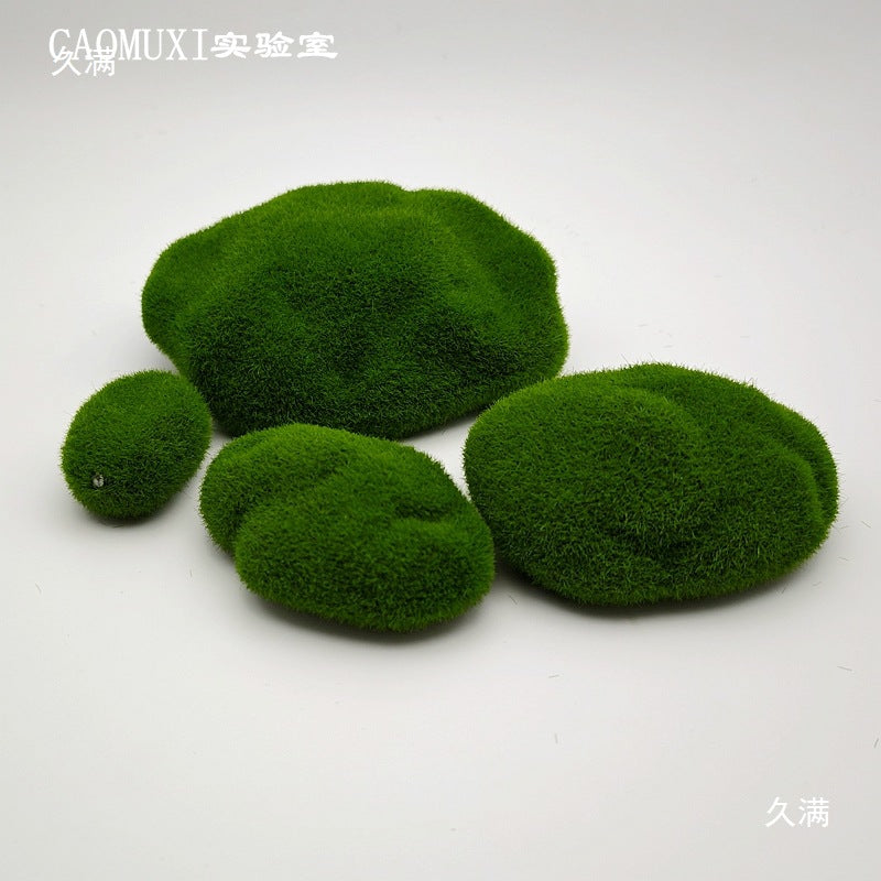 A plant stone model