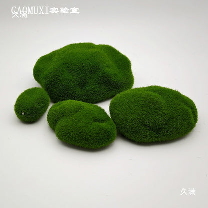 A plant stone model