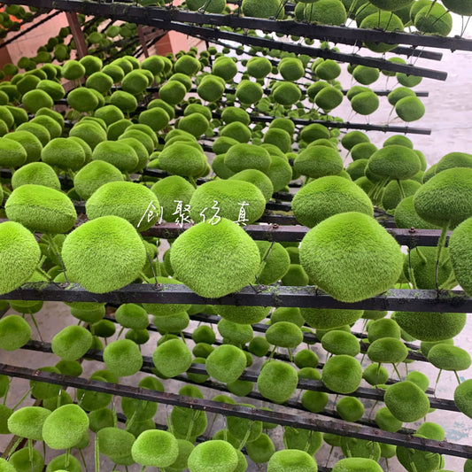 A simulated moss stone micro landscape bonsai landscaping decoration fake moss stone artificial flocking stone