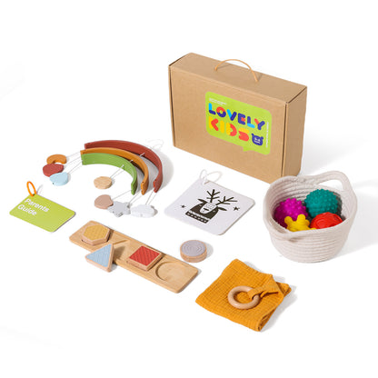 A Baby Early Education Educational Wooden Toys Montessori Teaching Multifunctional Hands-on Brain Shape Cognition Set