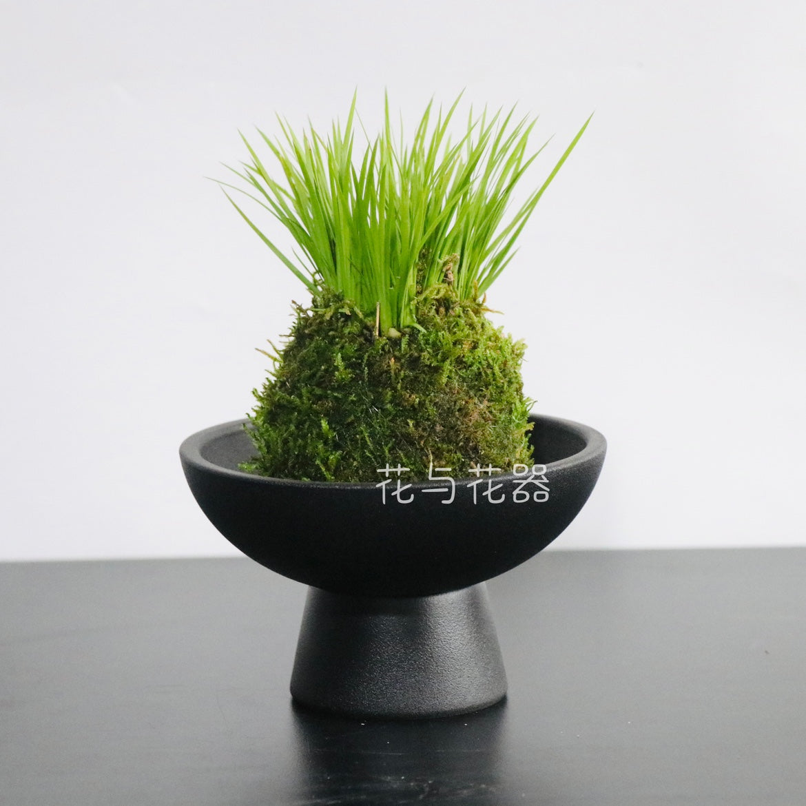 A ceramic flower arrangement utensils, moss ball small pots