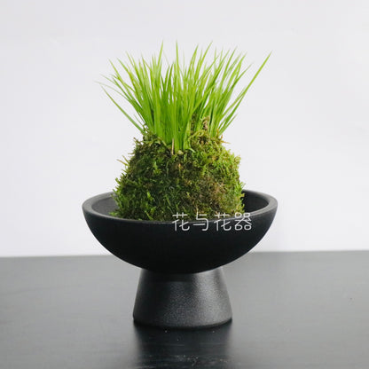 A ceramic flower arrangement utensils, moss ball small pots