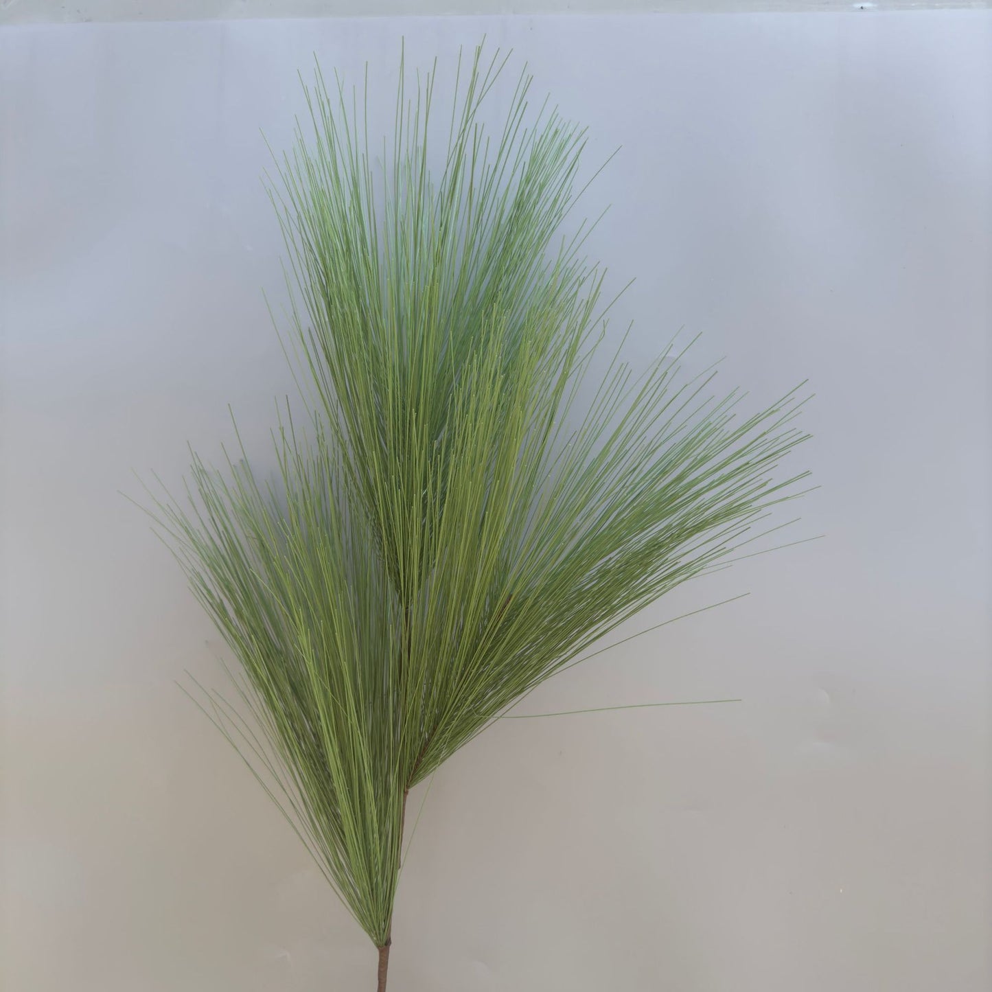 A Mori Monet Garden Simulation Flower Wedding Flower Reed < unk > Grass Fluffy Eucalyptus Green Simulation Flower