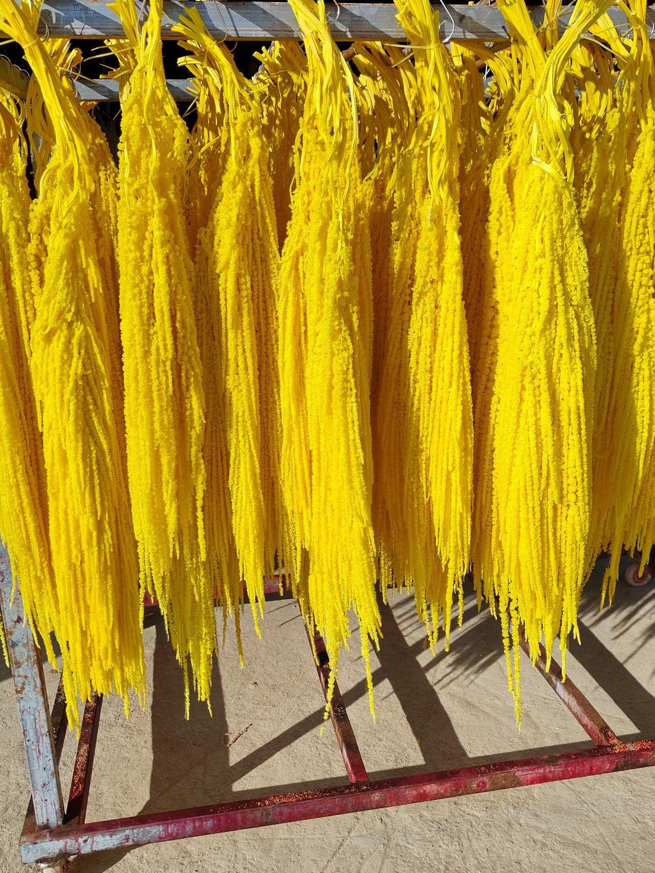 A dried flower eternal flower hanging rice