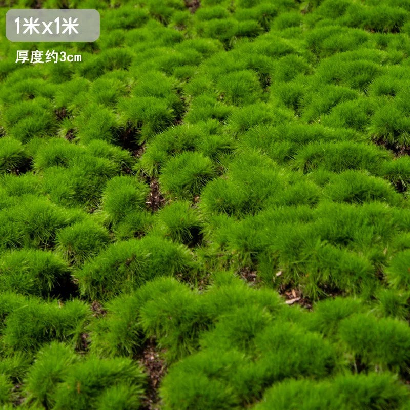 A Plant Wall Simulation Moss False Moss Moss Micro Landscape Bonsai Landscaping Decorative Materials Lawn Turf Wholesale