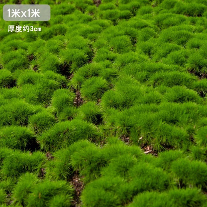 A Plant Wall Simulation Moss False Moss Moss Micro Landscape Bonsai Landscaping Decorative Materials Lawn Turf Wholesale