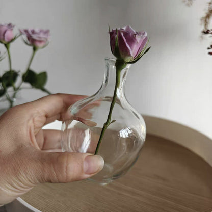 A Nordic simple and creative mini vase ins wind glass water flower cultivator living room desktop decoration small ornament